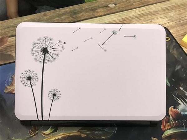 Ảnh đại diện sản phẩm Skin laptop đẹp